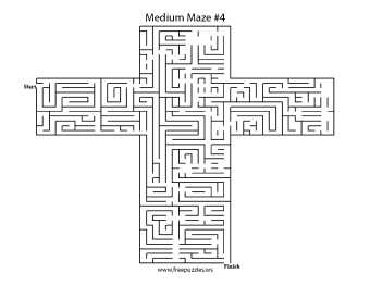 Medium Maze Puzzle #4