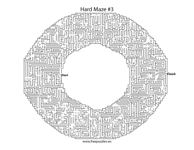 Hard Maze Puzzle #3