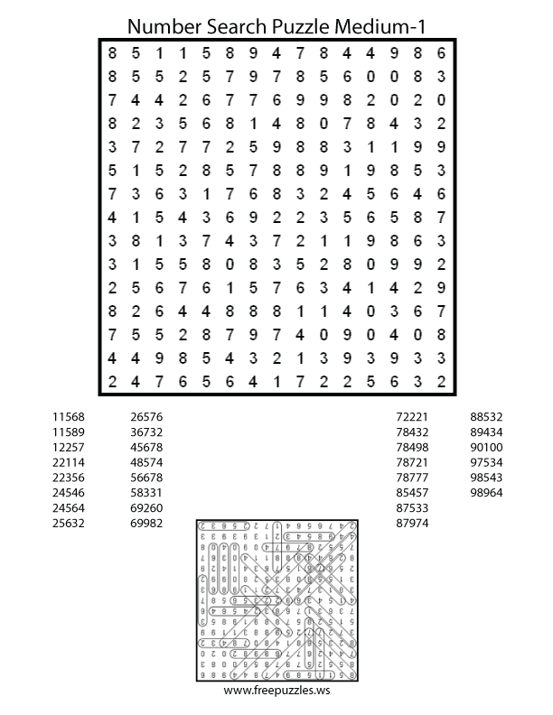 Preview of Number Search Medium 1
