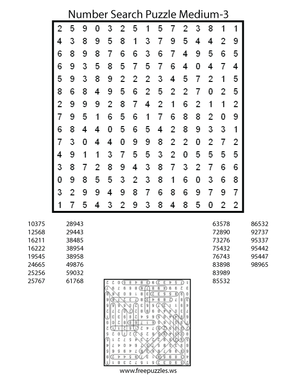 Preview of Number Search Medium 3
