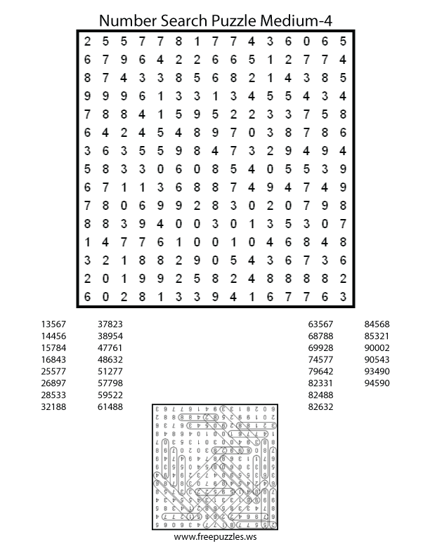 Preview of Number Search Medium 4