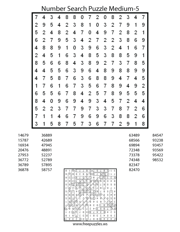 Preview of Number Search Medium 5