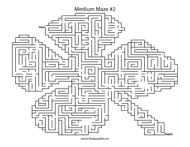 Preview of Medium Maze 2