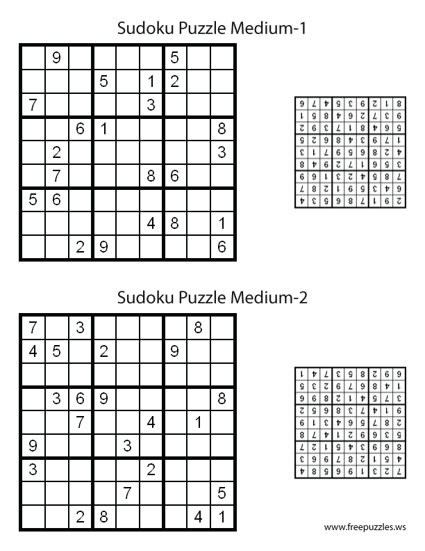 Preview of Medium Puzzles 1 & 2