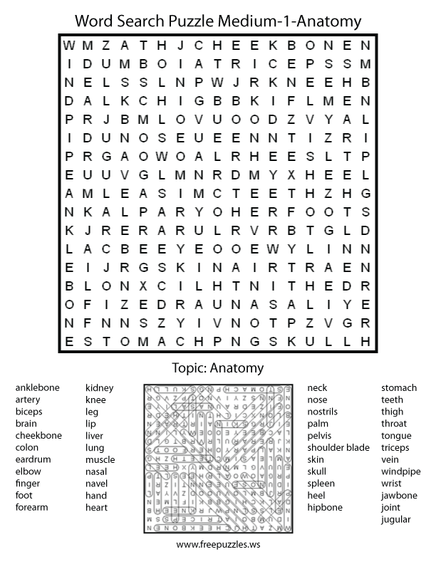 Preview of Medium #1 — Anatomy